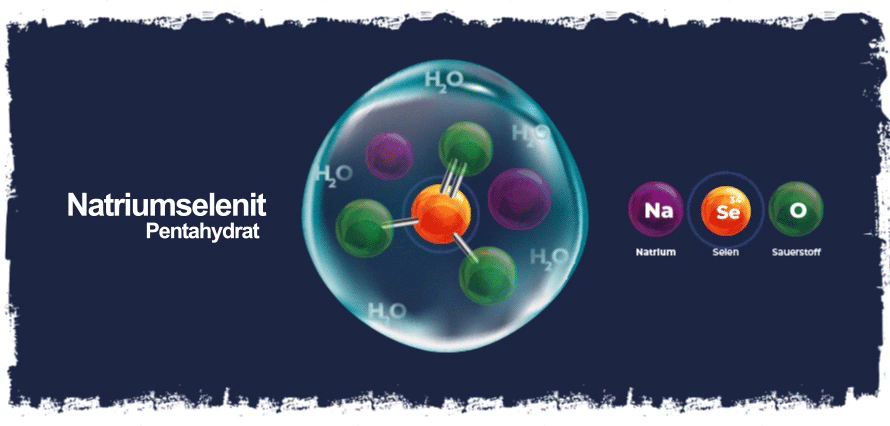 Natriumselenit-Pentahydrat – der etablierte Wirkstoff in Selen-Arzneimitteln
