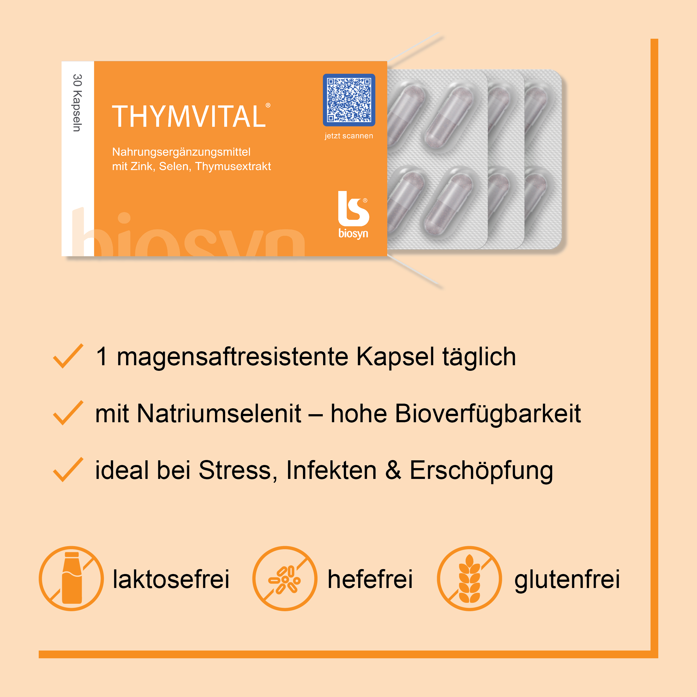 Thymus Organ Funktion und Lage im menschlichen Körper